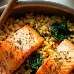 one skillet salmon with lemon orzo