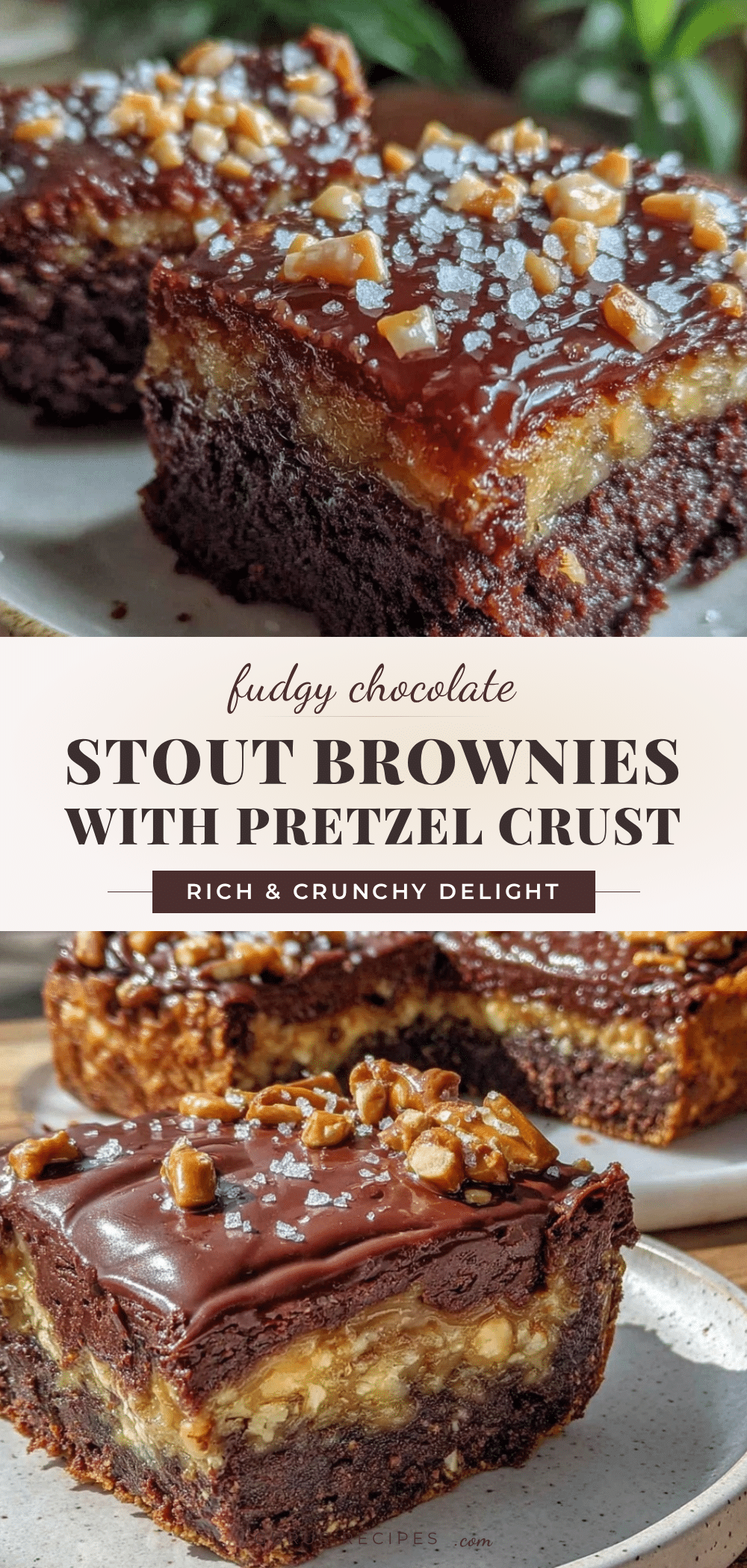 chocolate stout brownies recipe
