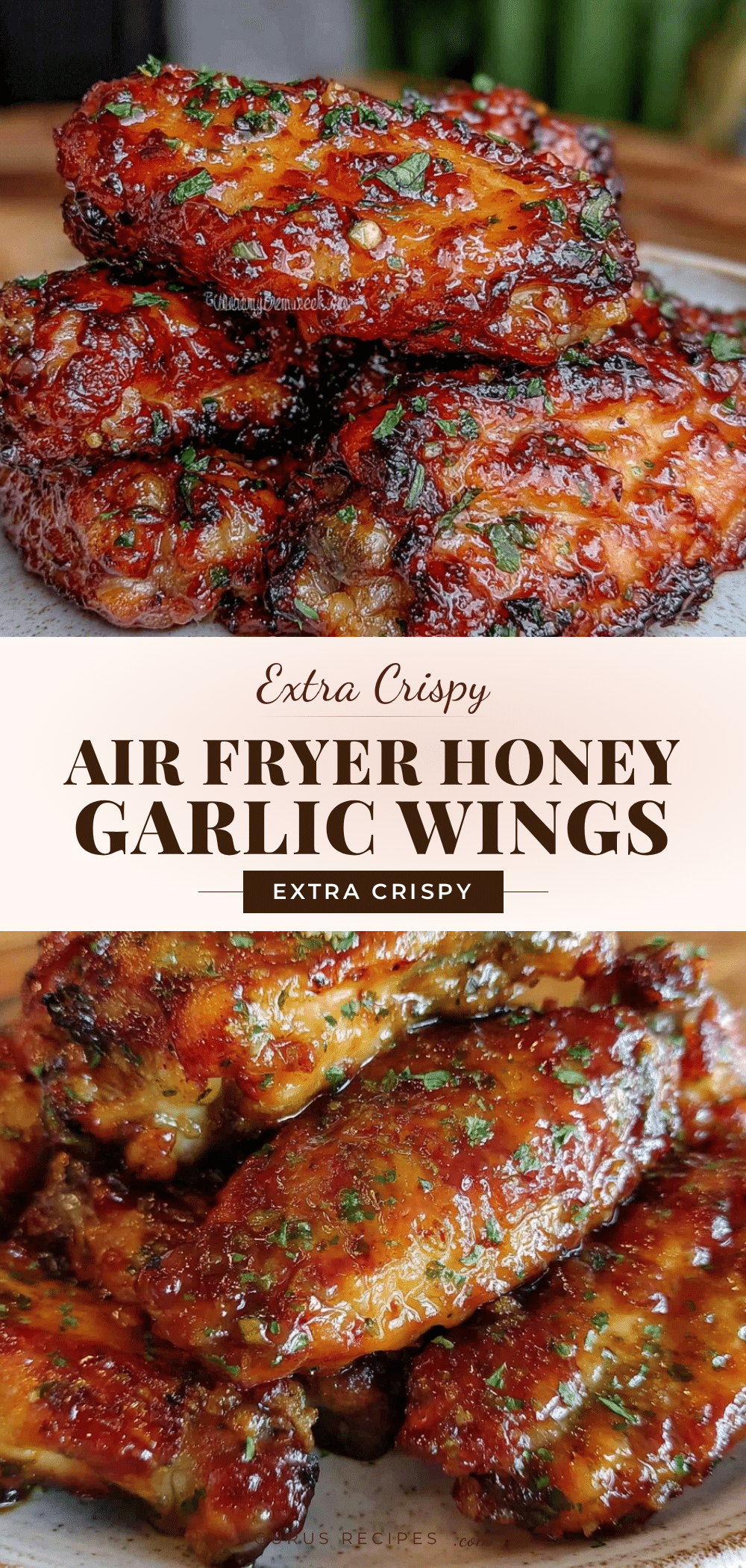 crispy air fryer honey garlic chicken wings recipe