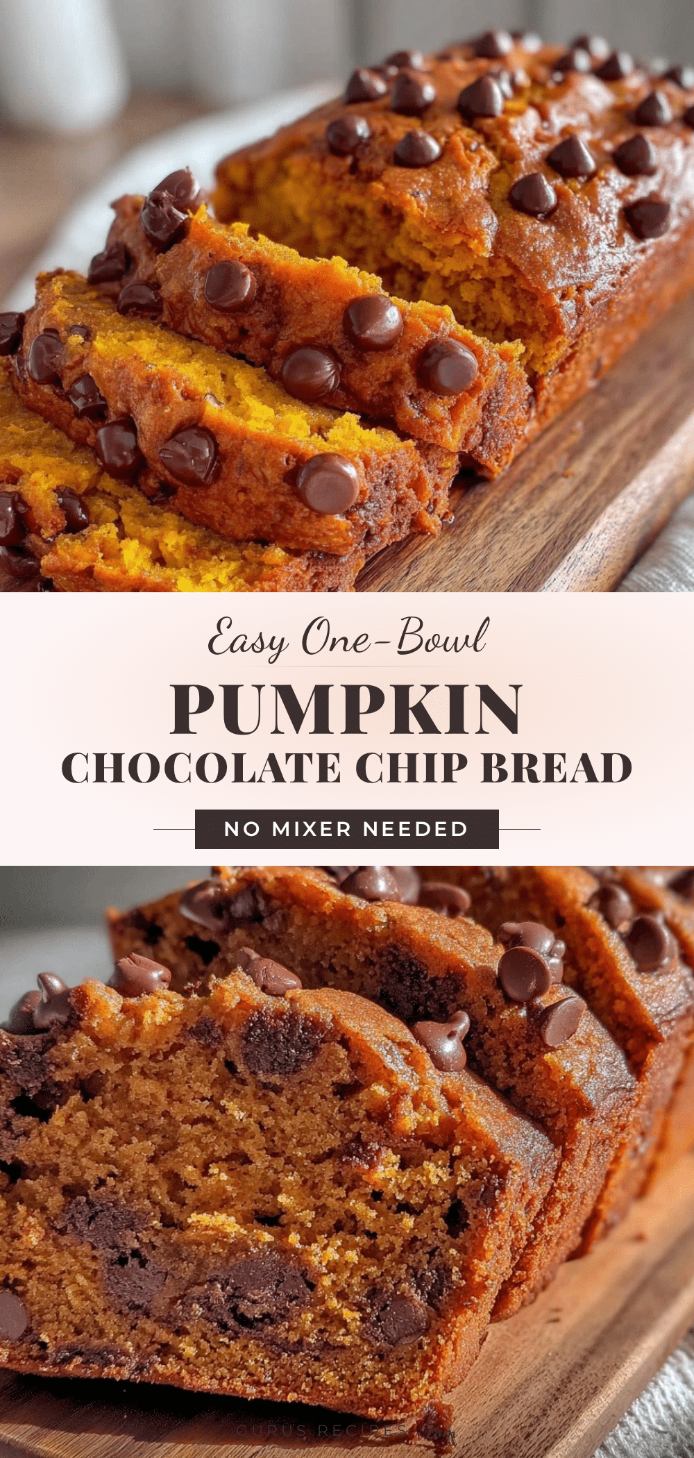 pumpkin chocolate chip bread recipe
