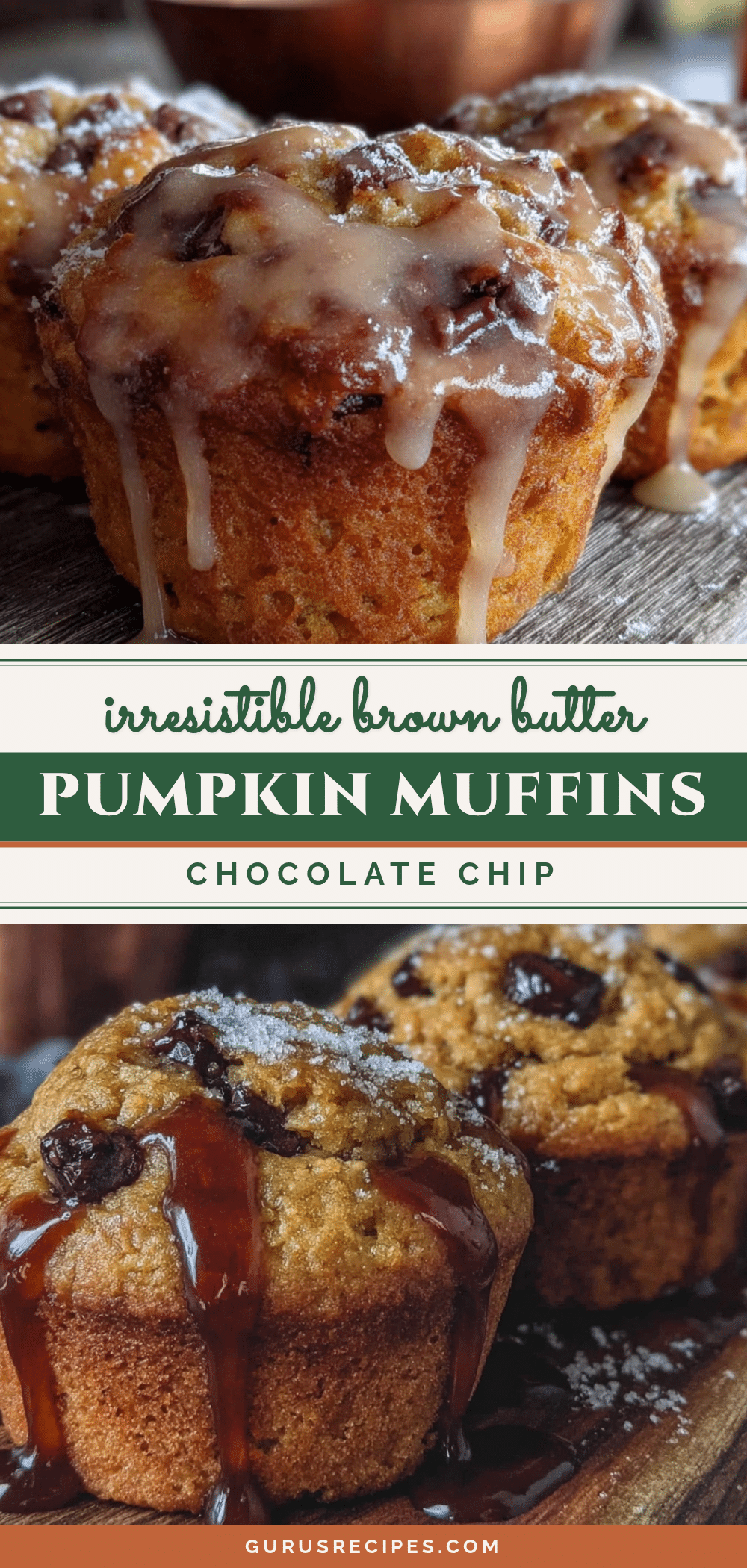 chocolate chip pumpkin muffins recipe