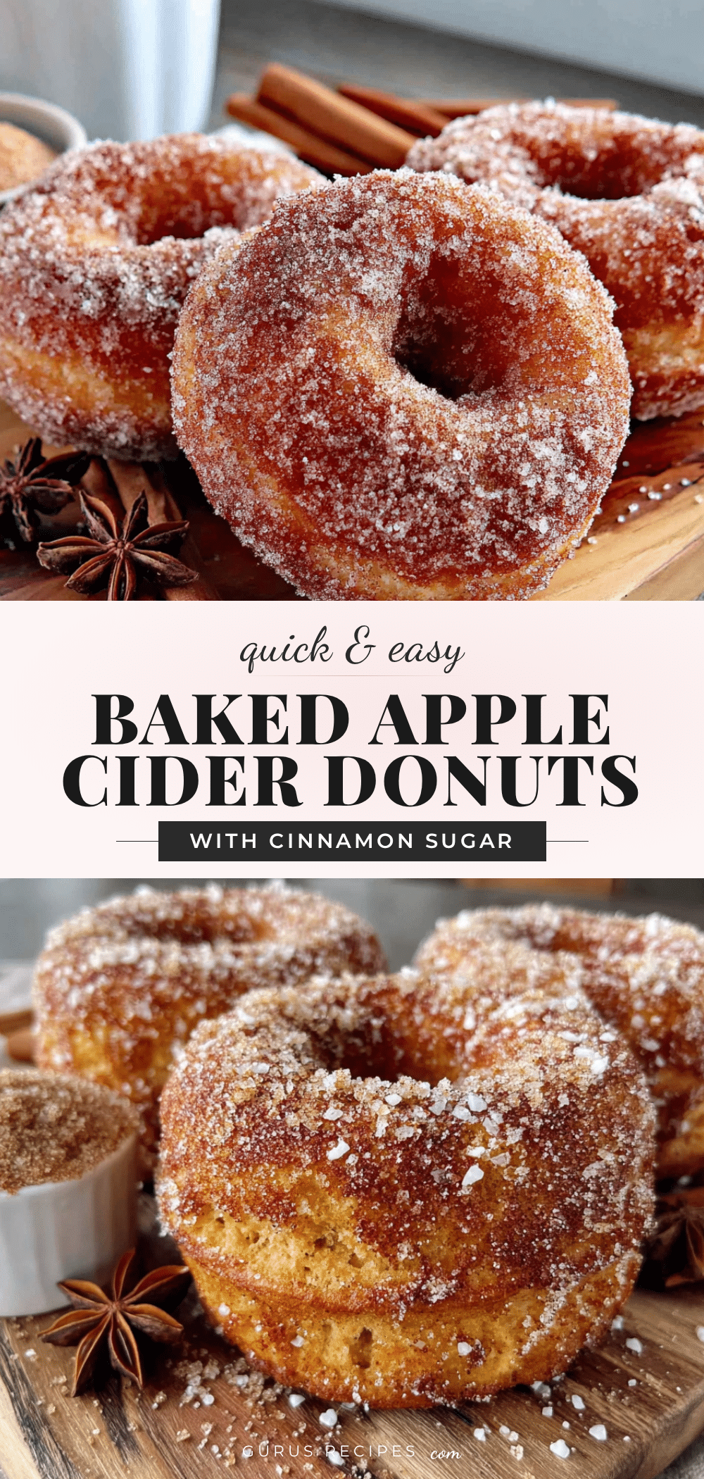 best baked apple cider donuts recipe recipe